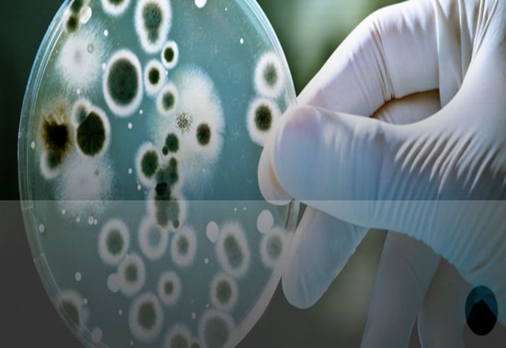 BILANȚ OFICIAL: Coronavirus – România: 29 de cazuri noi