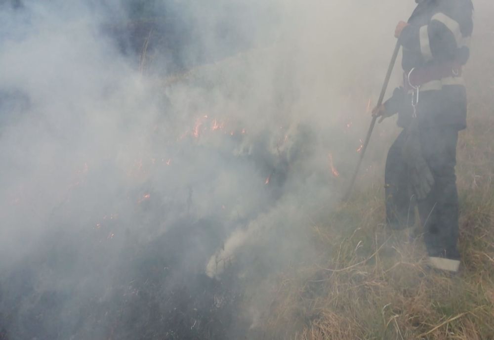 50 de hectare de pădure salvate de la incendiu de pompierii vasluieni!