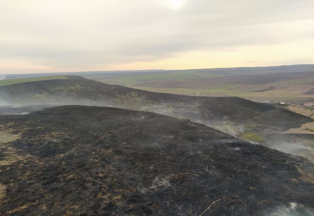 50 de hectare afectate de un incendiu de vegetație uscată în comuna Oltenești