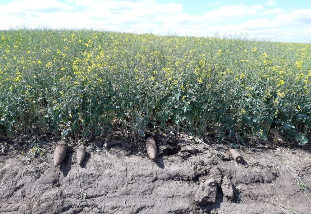 JUDEȚUL VASLUI: Proiectile neexplodate descoperite de un bărbat la munca câmpului