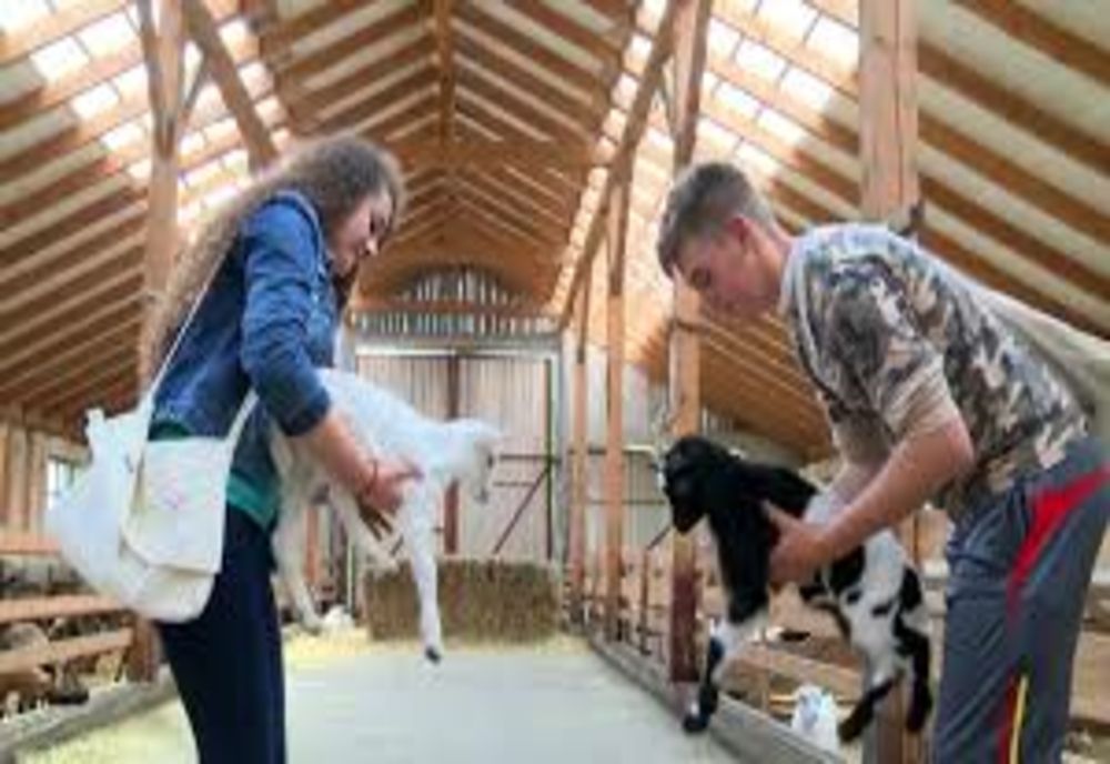 Liceele tehnologice cu profil preponderent agricol sunt susținute financiar de Ministerul Agriculturii și Dezvoltării Rurale