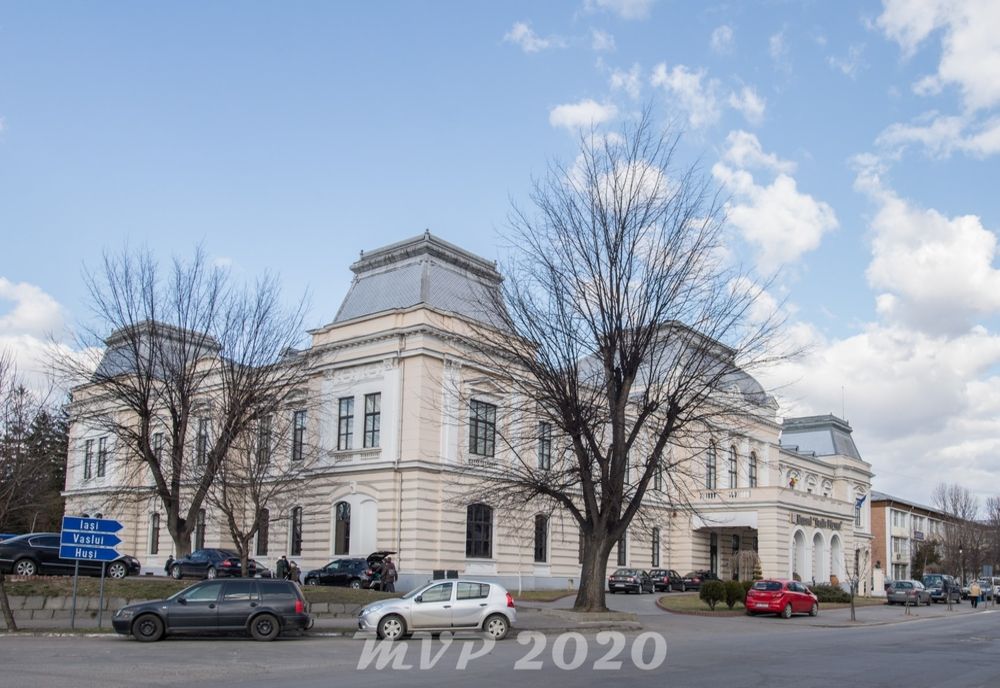 1918, anul Marii Uniri: documentar prezentat de Muzeul „Vasile Pârvan” în mediul online