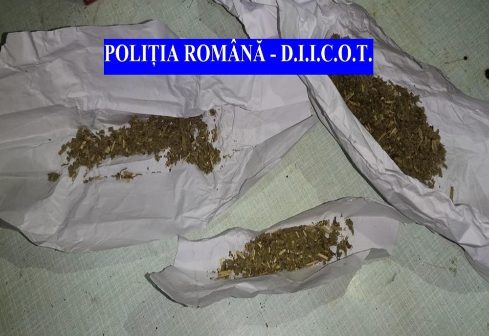 Descinderi la traficanții de droguri în Bârlad, Vaslui și județul Ilfov