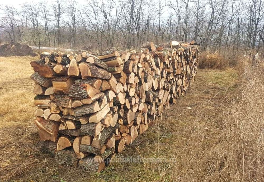 Trasport ilicit de material lemnos, descoperit de politiştii de frontieră vasluieni 