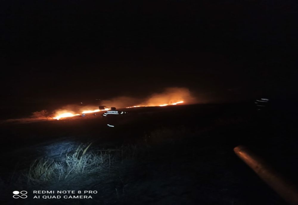 Incendiu de vegetație în comuna Stănilești - VIDEO
