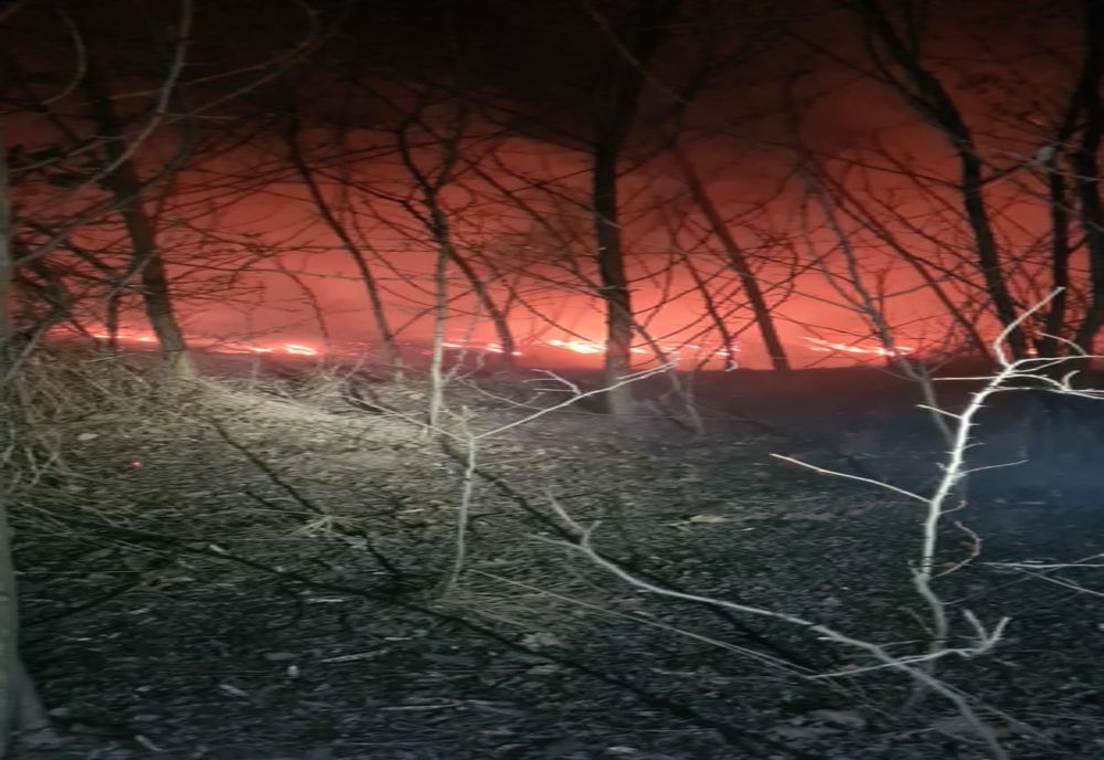 Incendiu violent de vegetație în județul Vaslui. Pompierii au intervenit de urgență