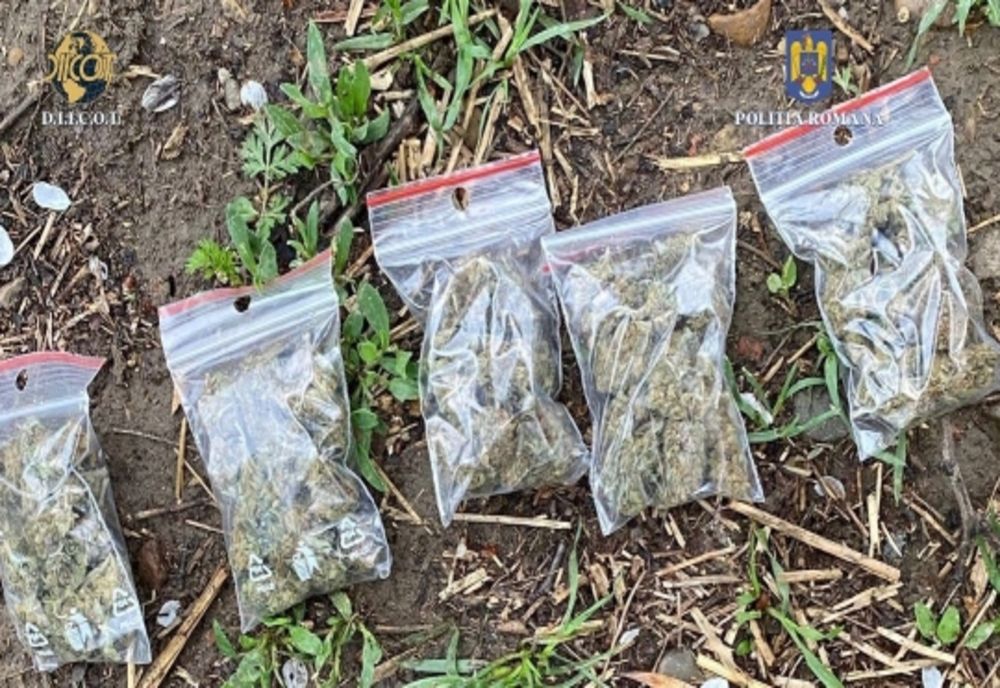 Vasluian reținut pentru trafic de droguri