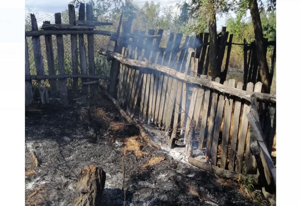 Incendiu de vegetație în municipiul Huși