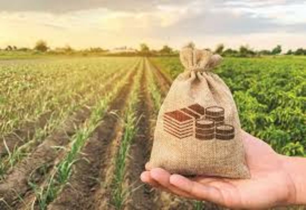 Fermierii vor primi un bonus de 10%, dacă prelucrază în țară produsele agricole