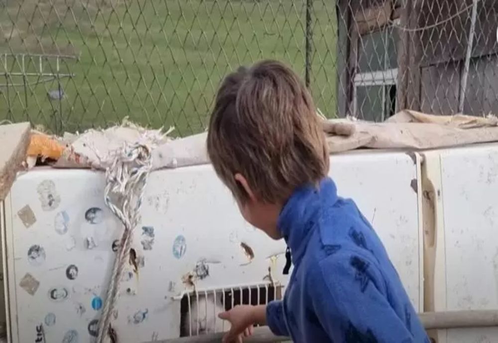 Povestea dramatică a fetiței care doarme în cușca iepurelui, după ce acoperișul casei s-a prăbușit peste ea