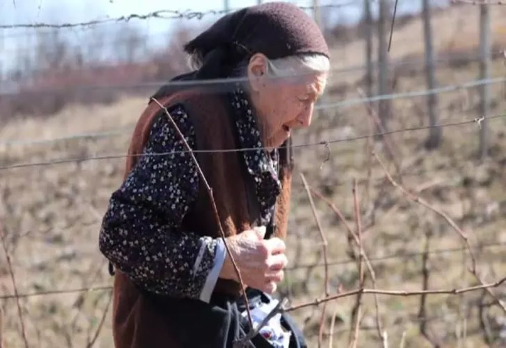 Are 99 de ani și încă muncește în grădină! „Nu pot să stau, trebuie să fac ceva”