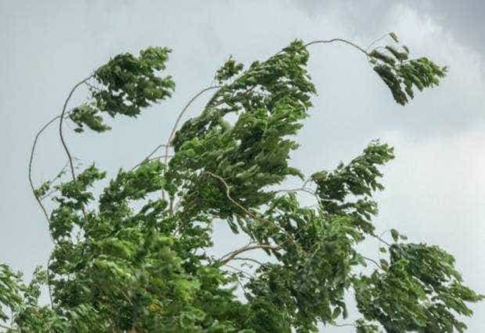 VREMEA 25 SEPTEMBRIE. COD GALBEN DE VÂNT PUTERNIC