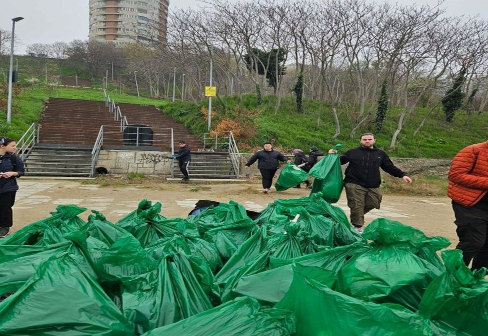 ECOLOGIZARE PE TALUZUL DINSPRE PLAJA MODERN. STUDENȚII DAU STARTUL SCHIMBĂRII!