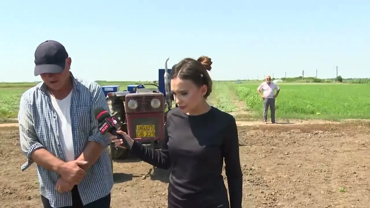 Alertă națională: Agricultorul român se confruntă cu cel mai crunt an din ultimele trei decenii! 