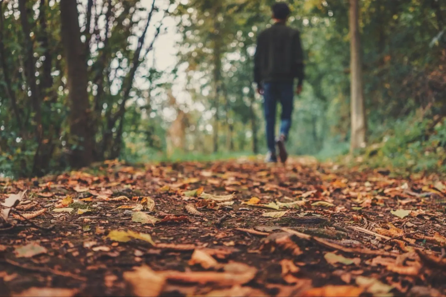 Prognoza ANM pentru următoarele patru săptămâni. Cum se schimbă vremea la începutul lunii octombrie