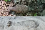 Bombă de aviație de 70 de kilograme din cel de-Al Doilea Război Mondial, descoperită la Lunca Banului
