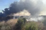 Incendiu de vegetație în Vaslui: focul a ars 500 de metri pătrați și s-a apropiat periculos de o casă