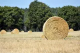 Sute de fermieri vasluieni au solicitat ajutoare de stat