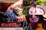Vaslui: Trei persoane, găsite inconștiente într-un beci în care era pus vin la fermentat