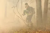 Incendiu în comuna Ivănești, Vaslui: peste 30 de hectare de vegetație uscată au ars