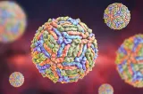 INSP: 2 cazuri de infecție cu virusul West Nile, confirmate în județul Vaslui în 2026