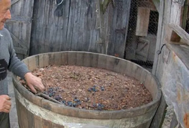 vin fermentat