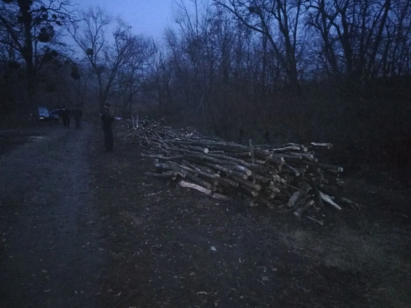 jandarmi silvic (2)