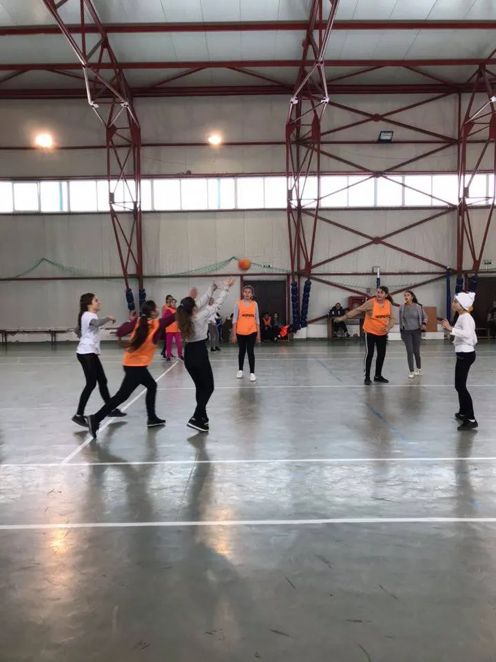 handbal rural