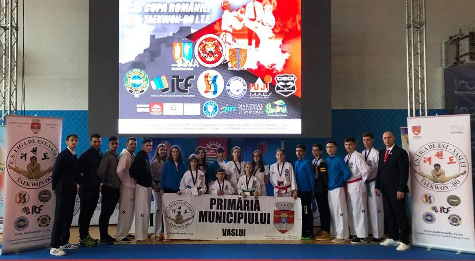 taekwondo vaslui