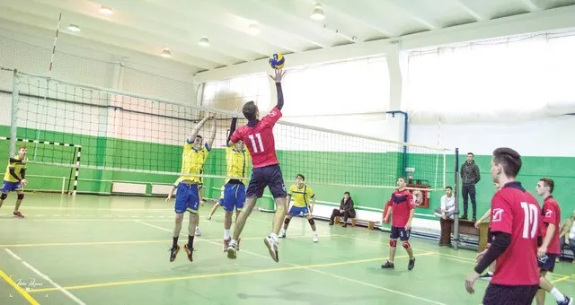 volei vaslui