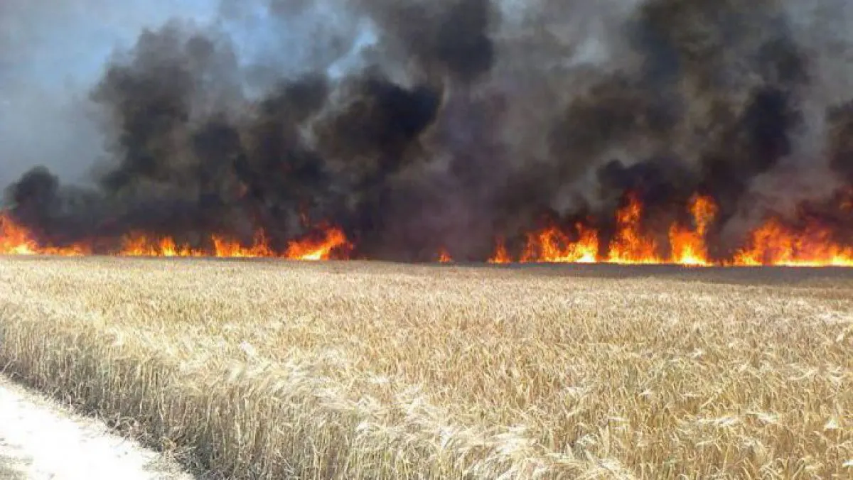 incendiu lan grau