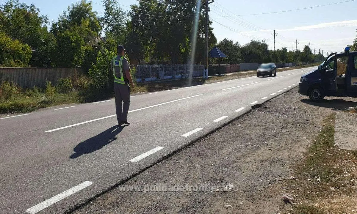 drept conducere