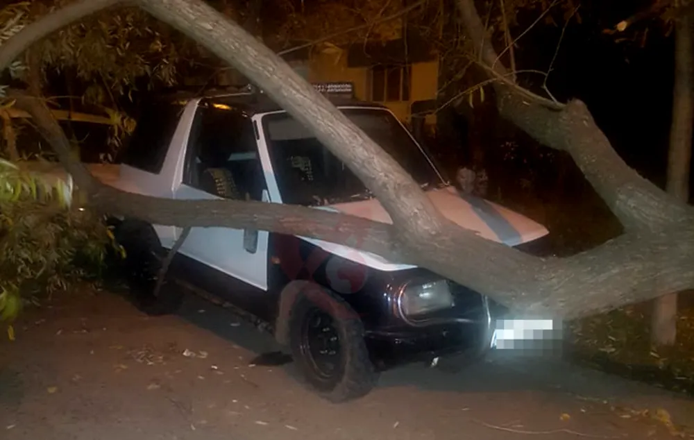 POZA ZILEI. Copac căzut peste o mașină la Bârlad, din cauza rafalelor de vânt