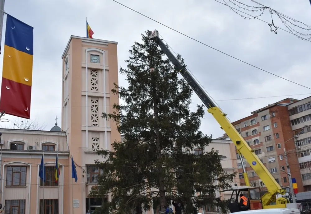 Selecție de oferte pentru bradul de Crăciun din fața primăriei Bârlad