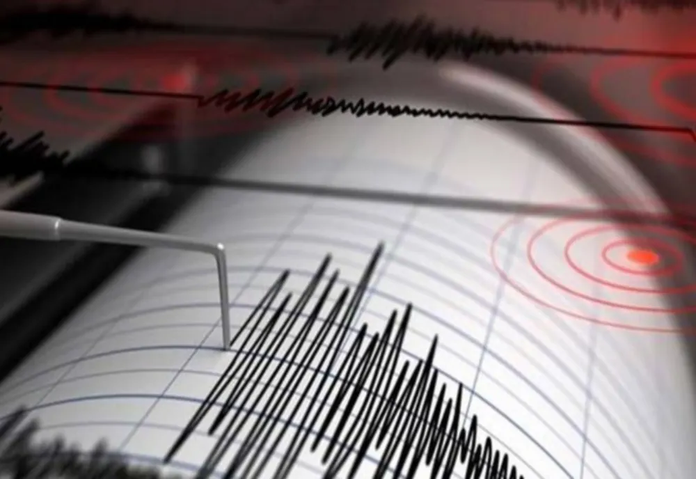 A fost cutremur în zona seismică Vrancea în această după amiază!