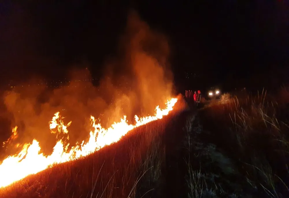 Incendiu de vegetație în Hoceni! FOTO
