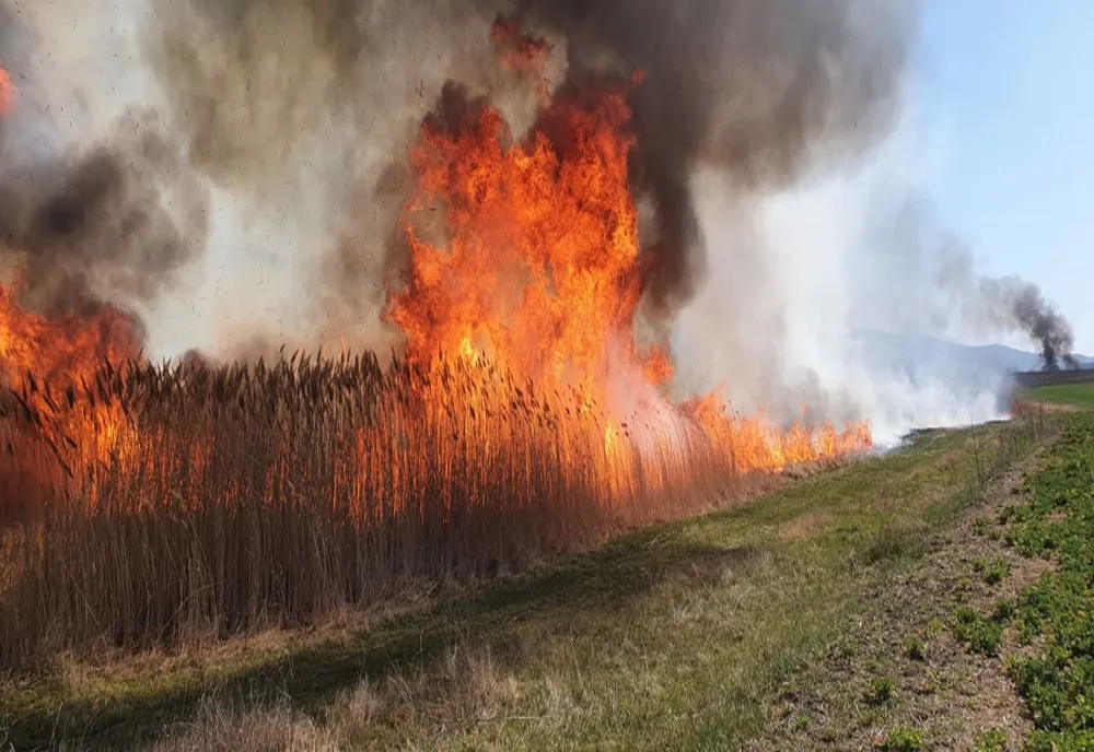 VIDEO. „Mini tornadă” filmată într-o comună din Vaslui, la un incendiu de vegetație uscată