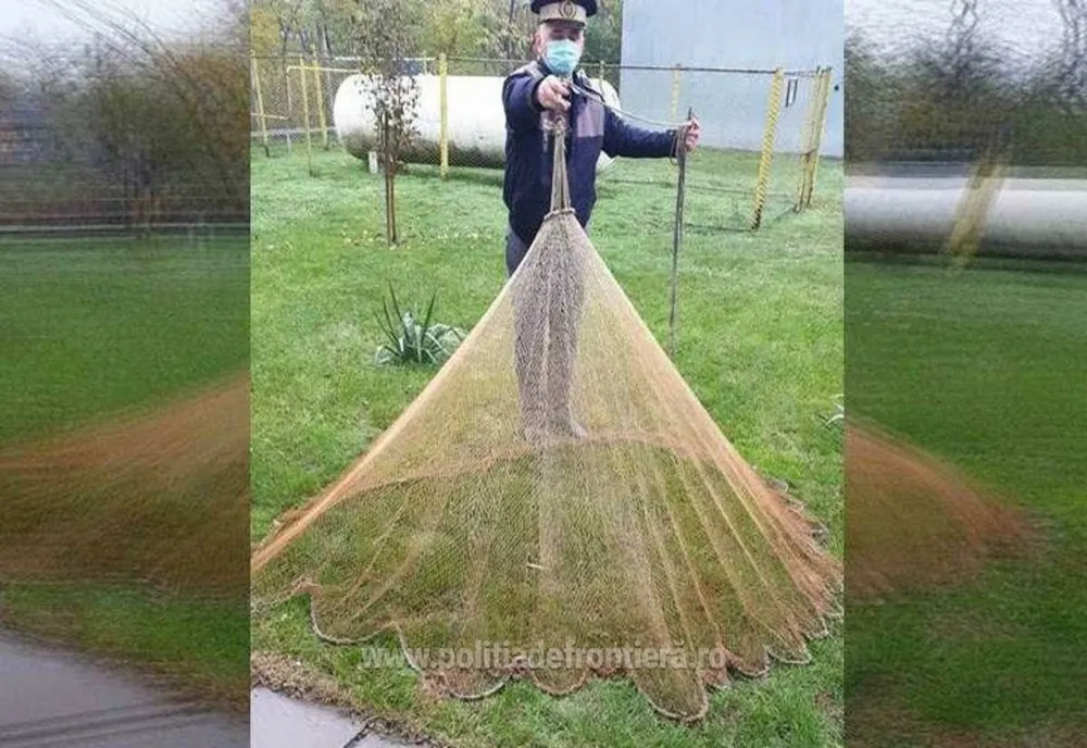 Peşte redat mediului natural 