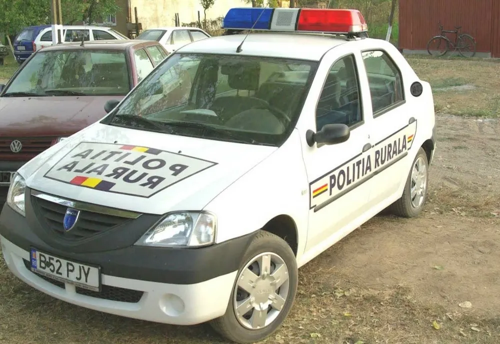 Un bărbat din Rafaila, prins la tăiat copaci. Polițiștii i-au întocmit dosar penal