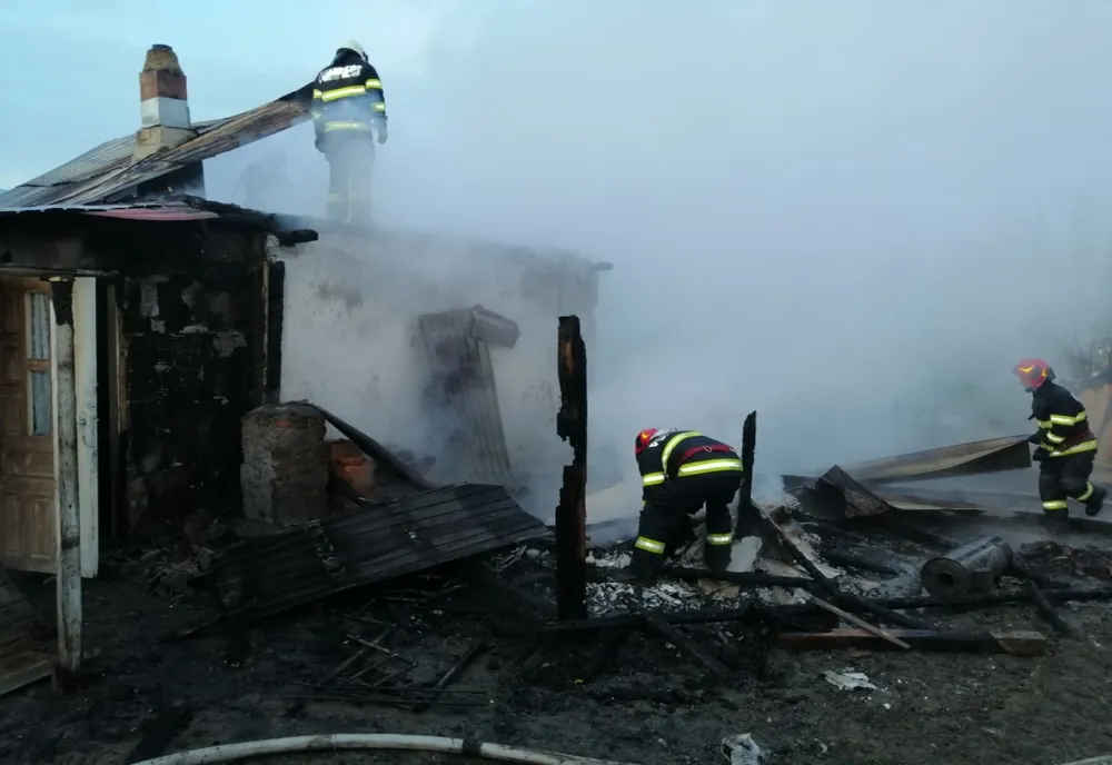 La un pas de tragedie! Proprietara a suferit atac de panică
