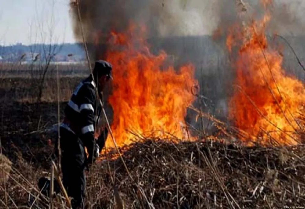 Incendiu de vegetație uscată la marginea Bârladului