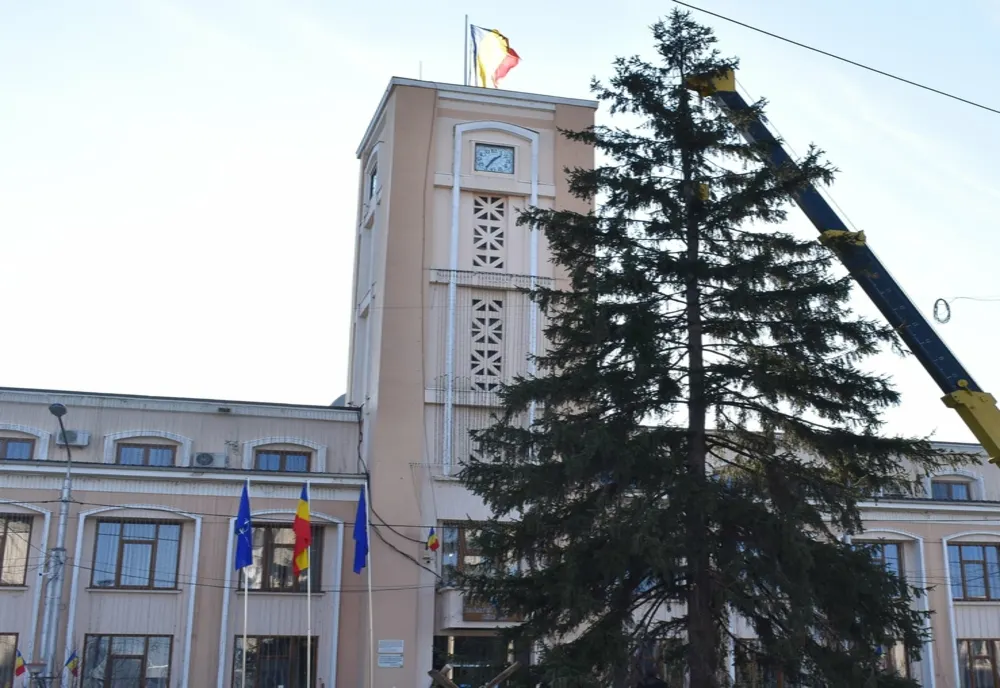Se caută brad de Crăciun! Primăria Bârlad a început selecția donațiilor