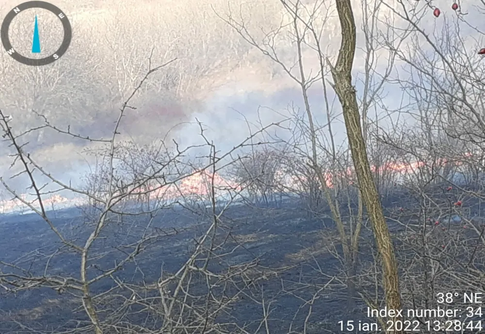 Incendiu de vegetație uscată la Fântânele