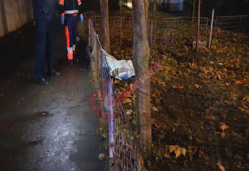 Un bărbat s-a spânzurat la câțiva metri de un liceu din Bârlad - VIDEO