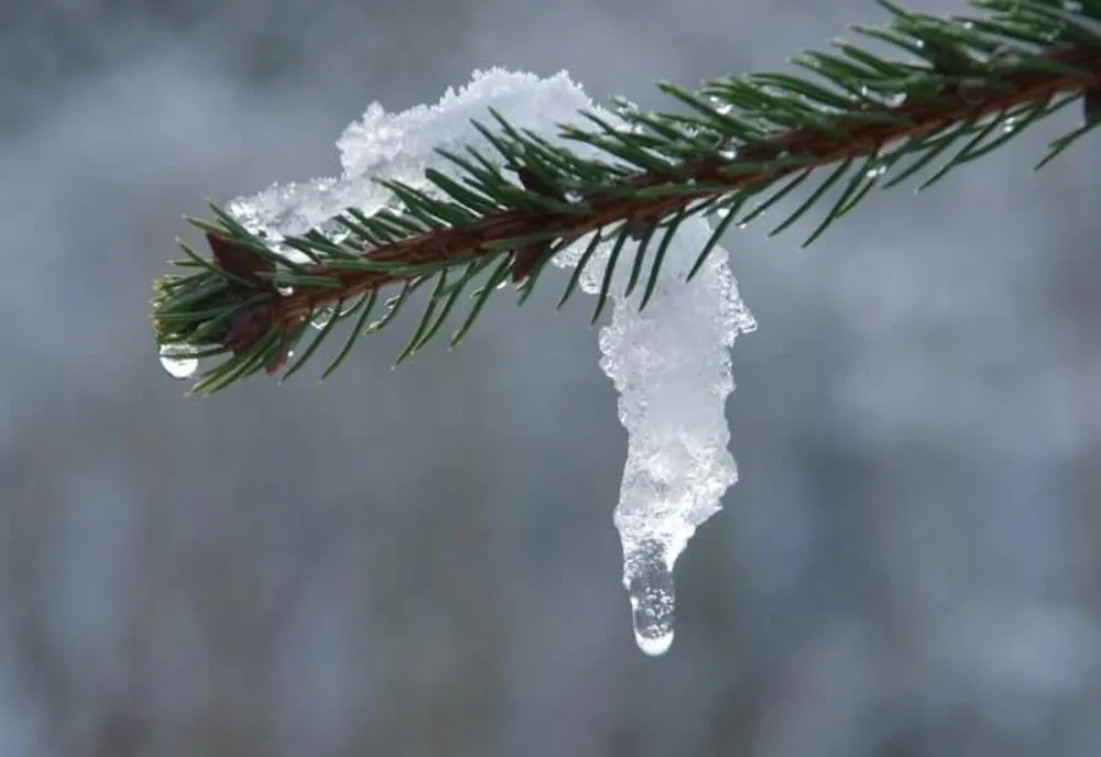 Vremea până la sfârșitul lunii ianuarie 2023. Mai cald decât normal și precipitații puține