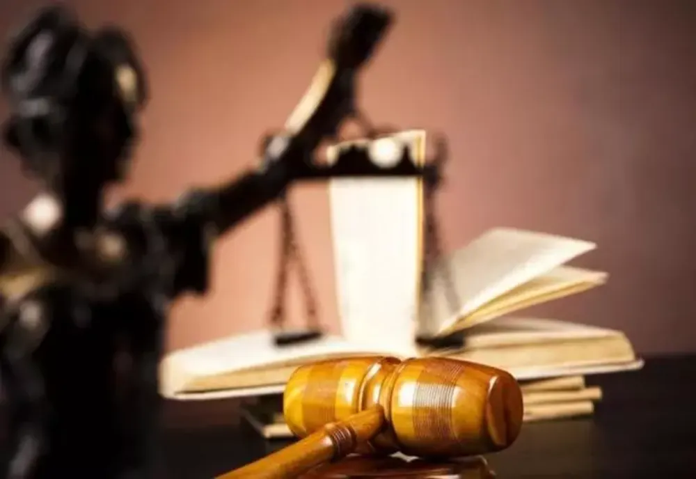 Control judiciar pentru doi indivizi care furau din curțile oamenilor