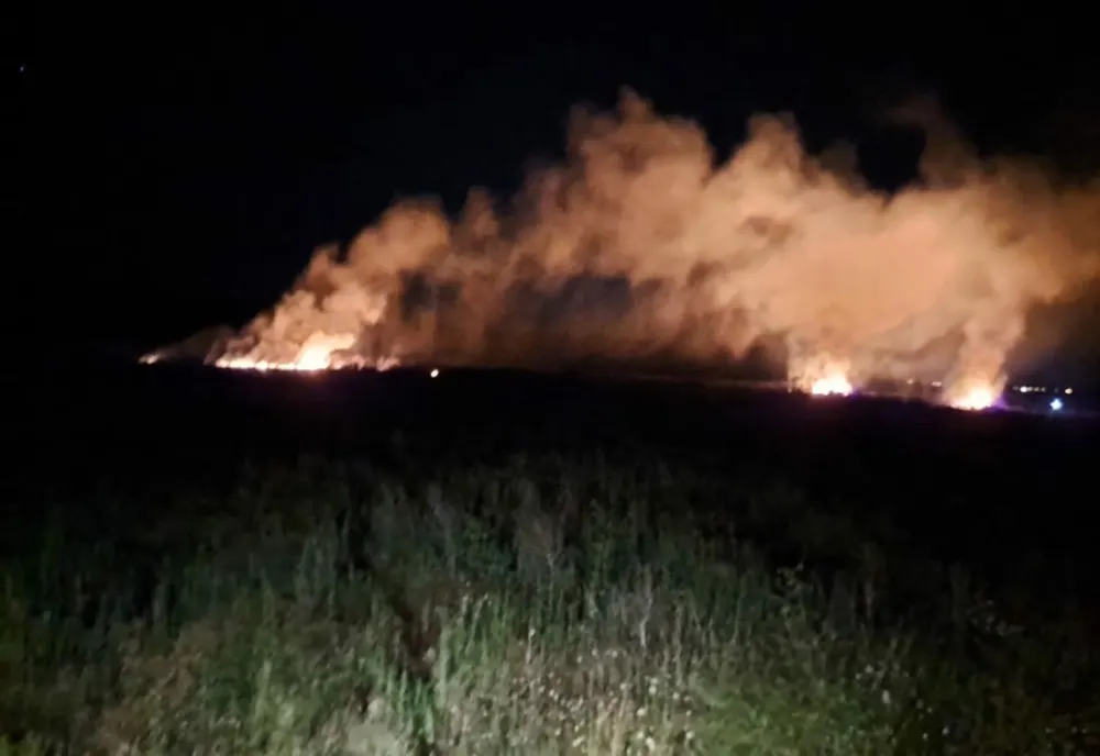 Arde vegetația uscată de la marginea orașului Murgeni