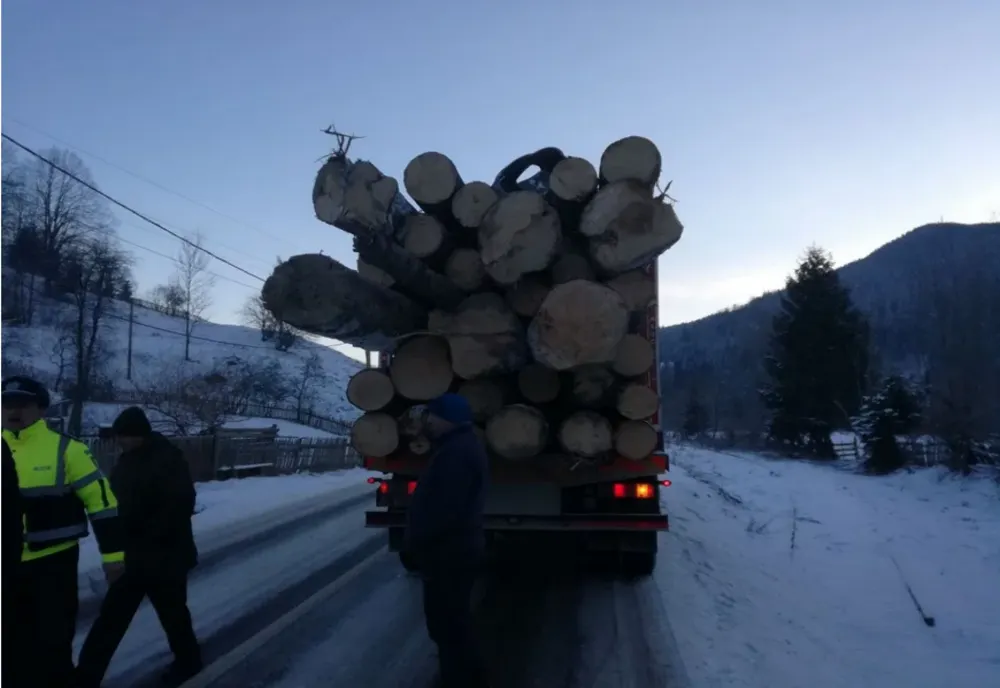 Transporturi ilegale de lemn interceptate de polițiști