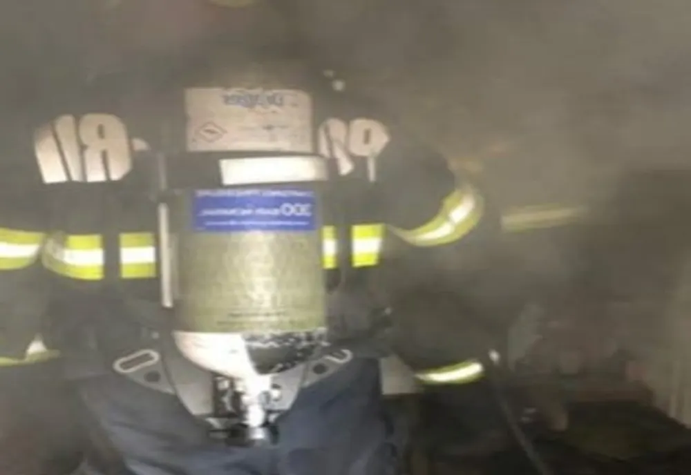 19 puișori au ars într-un apartament din Vaslui. Cauza incendiului, un bec folosit pentru încălzire