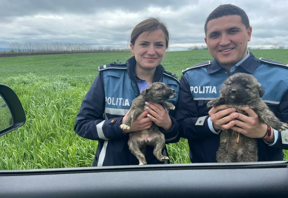 Polițiștii Biroului pentru Protecția Animalelor Vaslui, în acțiune!